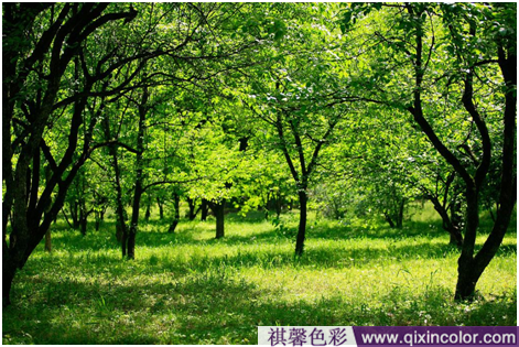 圖片2.png 圖片2.png