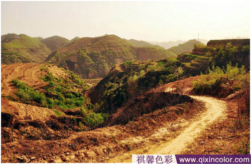 圖片3.png 圖片3.png