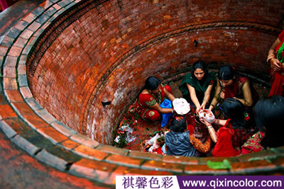 圖片8.png 圖片8.png