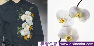 圖片1.png 圖片1.png