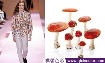 圖片5.png 圖片5.png