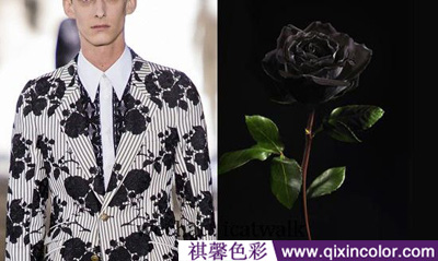 圖片4.png 圖片4.png