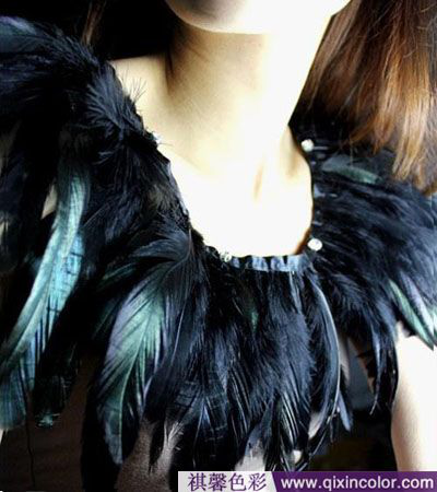 圖片1.png 圖片1.png