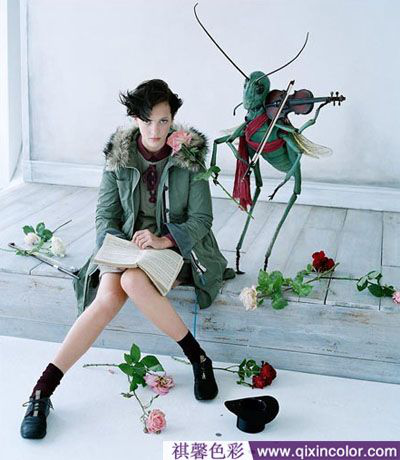 圖片3.png 圖片3.png