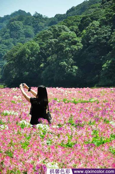 圖片1.png 圖片1.png