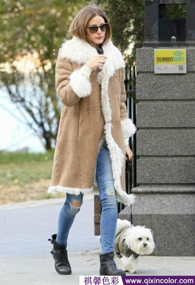 圖片4.png 圖片4.png