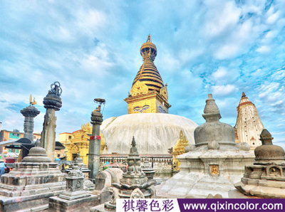 圖片6.png 圖片6.png