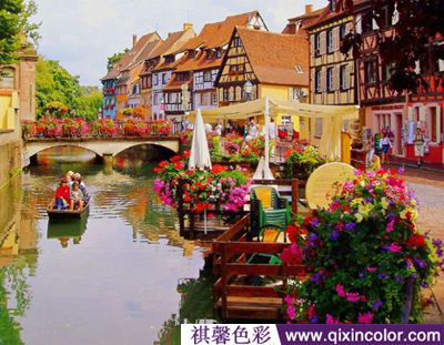 圖片2.png 圖片2.png