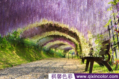 圖片3.png 圖片3.png