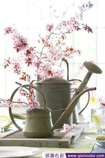 圖片2.png 圖片2.png