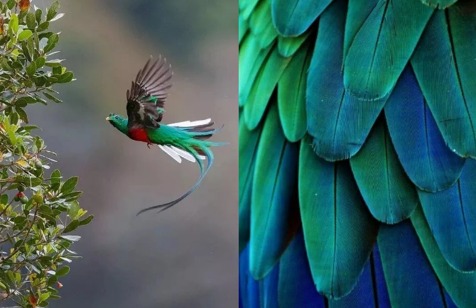 色彩搭配 色彩搭配