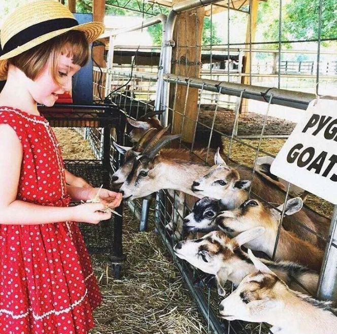 服裝搭配師培訓班 服裝搭配師培訓班