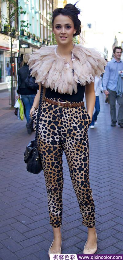 圖片5.png 圖片5.png