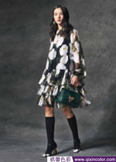 圖片5.png 圖片5.png