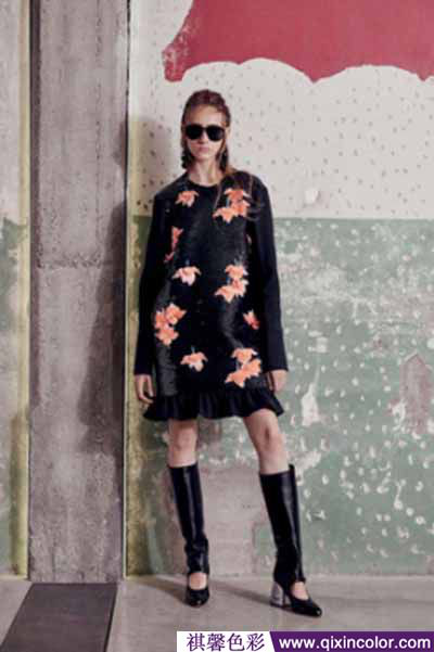 圖片4.png 圖片4.png