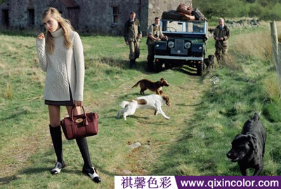 圖片5.png 圖片5.png