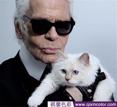 圖片4.png 圖片4.png