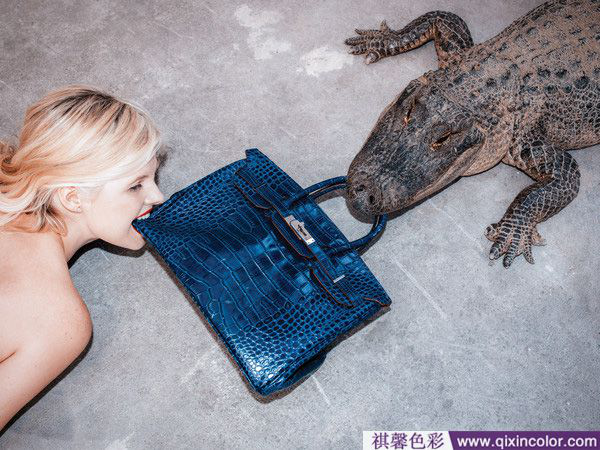 圖片2.png 圖片2.png