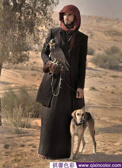 圖片8.png 圖片8.png