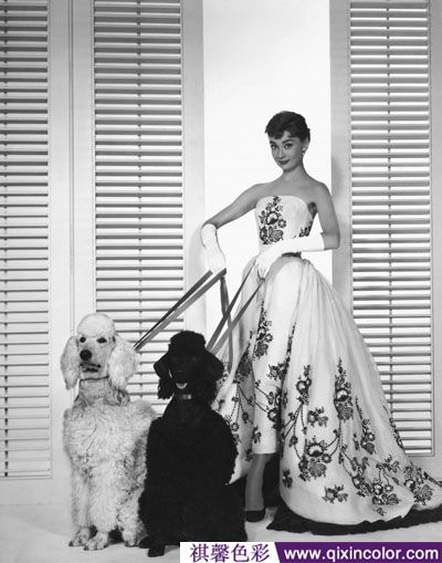 圖片5.png 圖片5.png