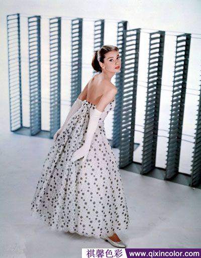 圖片4.png 圖片4.png