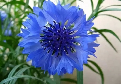 色彩搭配師培訓學校 色彩搭配師培訓學校