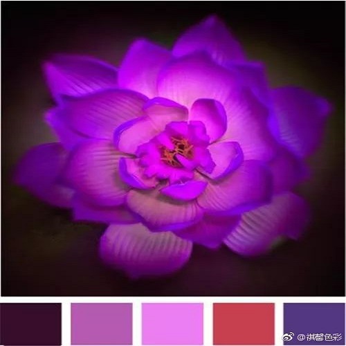 色彩搭配師培訓學校 色彩搭配師培訓學校