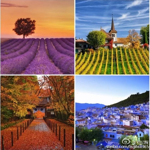 色彩搭配 色彩搭配