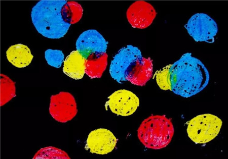 色彩服飾搭配培訓師 色彩服飾搭配培訓師