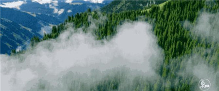 服裝色彩搭配培訓 服裝色彩搭配培訓