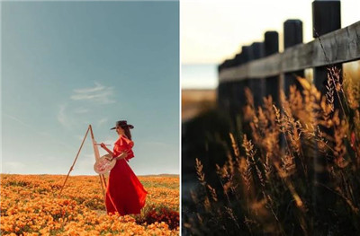 色彩搭配師學校 色彩搭配師學校