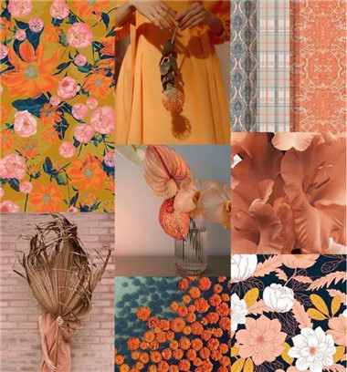 色彩形象管理課程 色彩形象管理課程