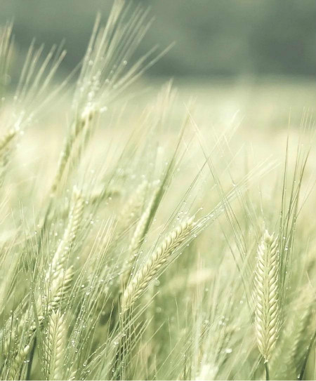 weixintupian_20210527093406.jpg weixintupian_20210527093406.jpg