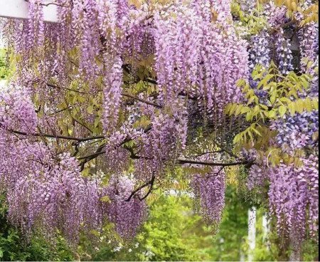 weixintupian_20210527093757.jpg weixintupian_20210527093757.jpg