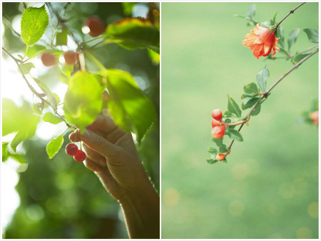 weixintupian_meitu_2-2.jpg weixintupian_meitu_2-2.jpg